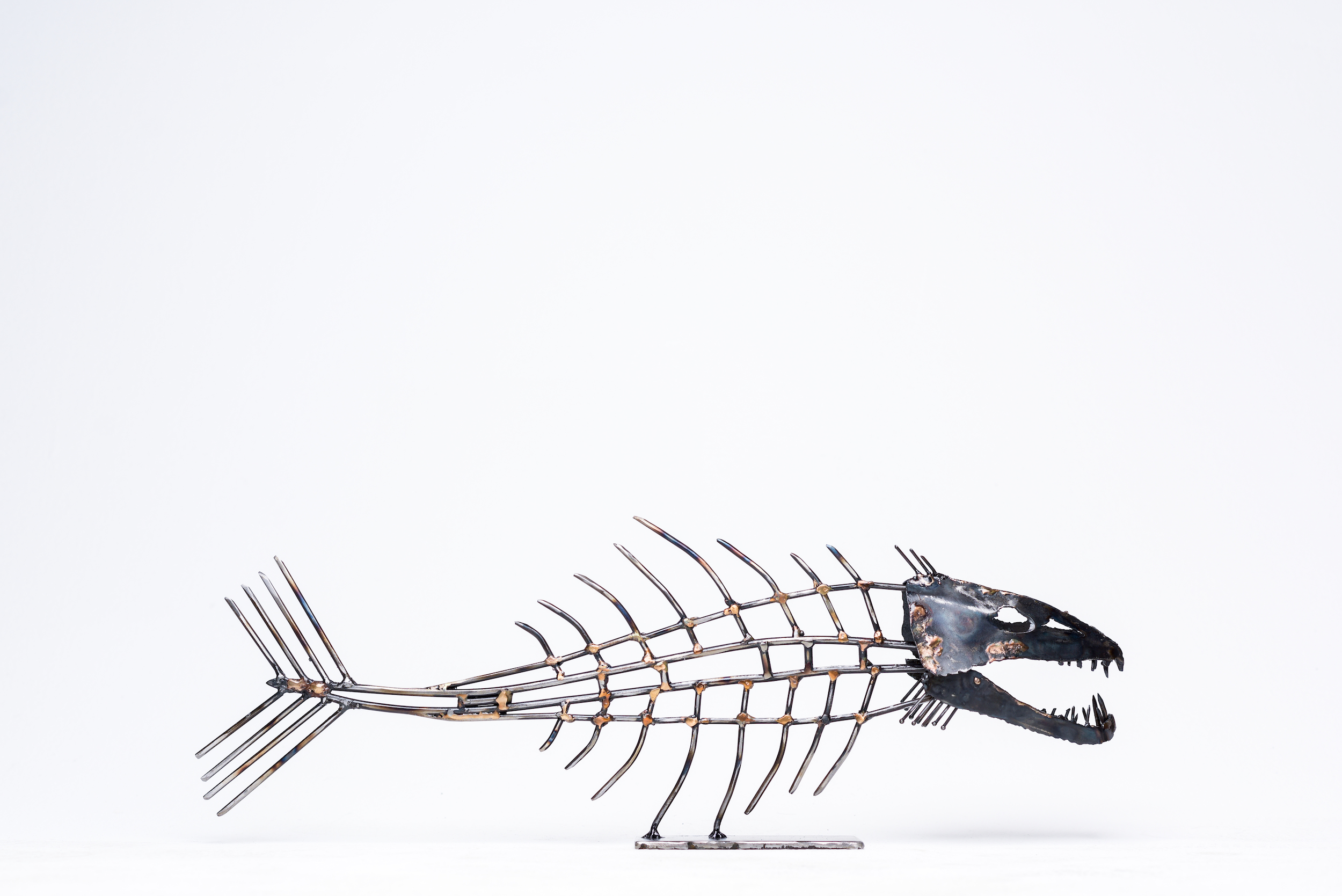 Bonie Fish